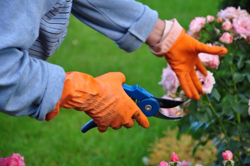 Two gardeners preparing lawn mowing equipment on a suburban lawn