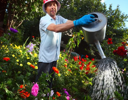 Safe tree removal process ensuring property protection