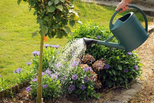 Operative inspecting a lawn for debris before mowing