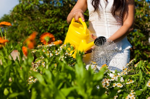 Boosted property value with well-maintained trees