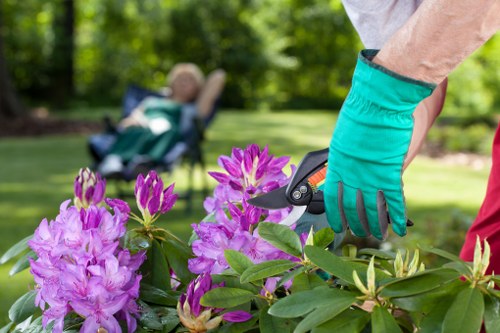Eco-friendly lawn mowing practices in Greenwich