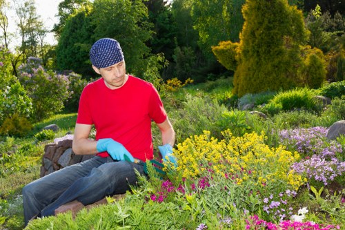 Healthy green lawn after professional mowing in Greenwich